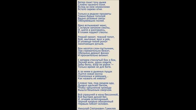 Юрий Волщуков - Лесной пожар