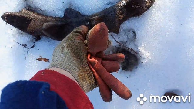 Медь на копе! смотреть онлайн