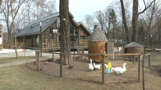 Городская ферма на ВДНХ, Апрель