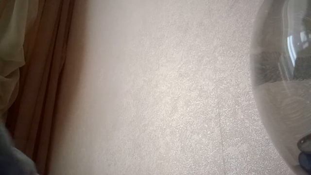 Как заботица о рыбе петушок смотреть онлайн