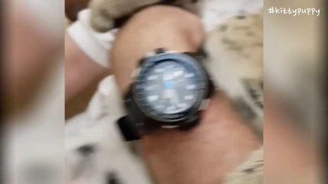 Serval Myxa & Caracal Adolf Meow Compilation : Floppa & Sogga