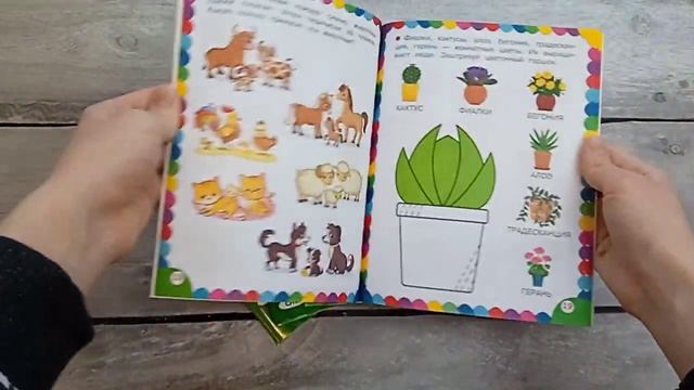 Сборник развивающих заданий для детей 3-4 лет смотреть онлайн