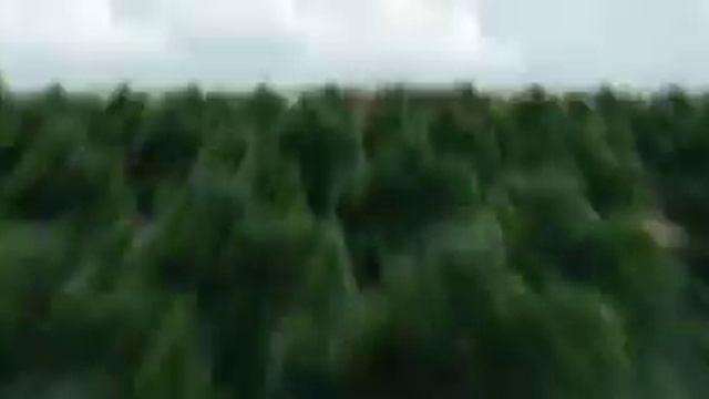 Фирсова слобода 2 3 смотреть онлайн