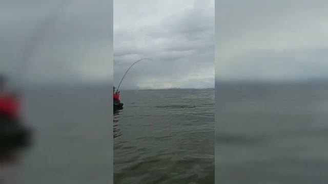 Рыбалка на Де-фризе, ловля саргана 21.06.2021. смотреть онлайн