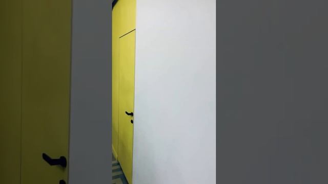 Двери невидимки в интерьере смотреть онлайн