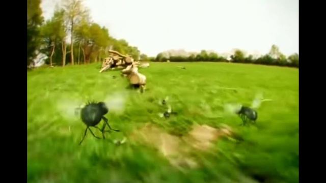 супер божья коровка дразнит всех (видео не совсем мое) смотреть онлайн