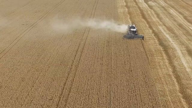 Fendt Combine 6335C смотреть онлайн