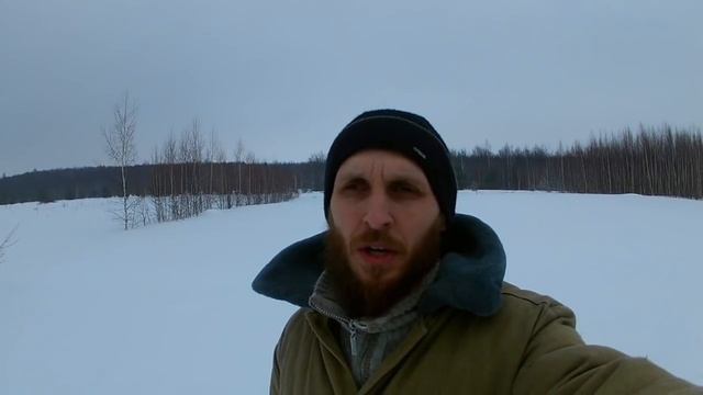 Породы гусей и их особенности. Выбор породы гусей. Птицеводство // КХ Алексеевых смотреть онлайн