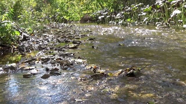 Течение Принесёт Сон До Утра. смотреть онлайн
