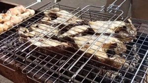 ЗУБАТКА на гриле. Рыба на мангале.