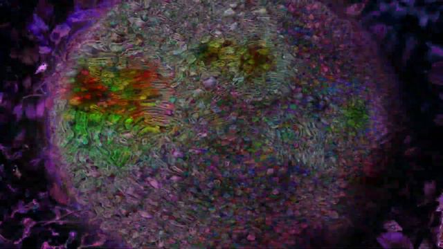 Hideo Kobayashi - Methodical Love [Visualization] смотреть онлайн