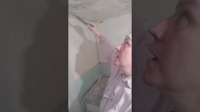 Скребок всему голова смотреть онлайн