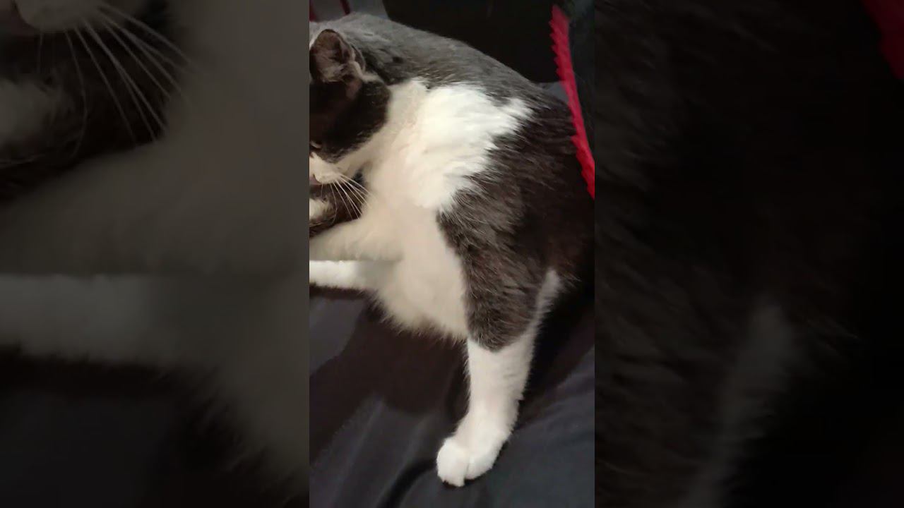 5 ноября 2023 г. смотреть онлайн