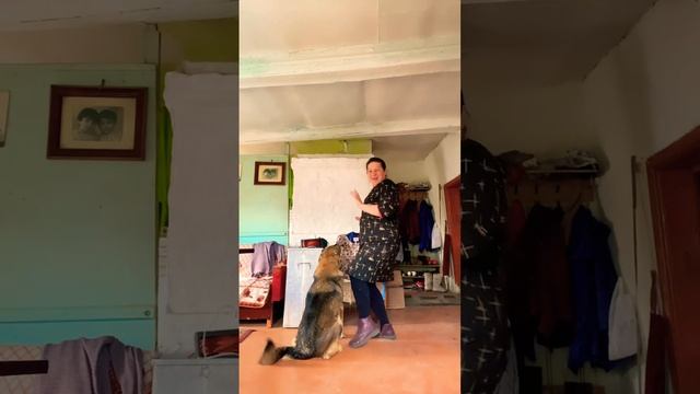 Танцы с собакой #танцы смотреть онлайн