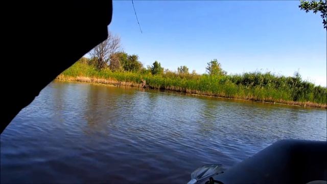 РЫБАЛКА НА ТЕЙЛСПИННЕР  UF Studio Hurricane. Приятная находка. Неожиданный гость в заливе.