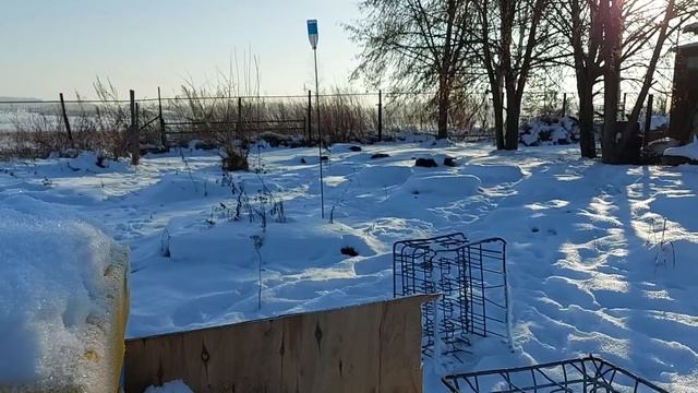 ДЯТЕЛ УПОРНАЯ ПТИЦА /ДЯТЛОБОРЬБА//29 НОЯБРЯ 2020 смотреть онлайн