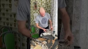 Рыба соленая | Андрей Лунёв