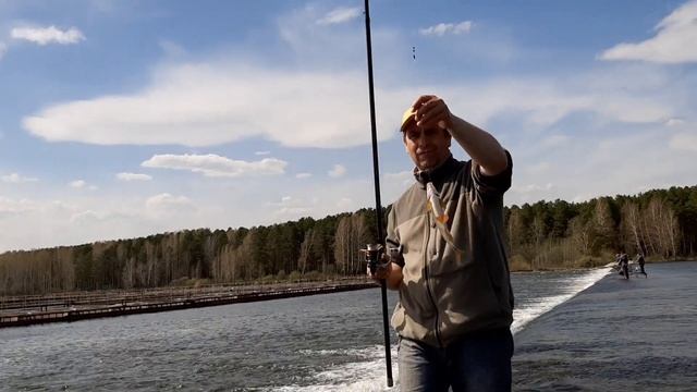 Крупная плотва клюет на водоросли. Поплавочка сегодня рулит.