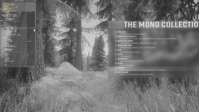 Skyrim SE Mods: CFL II - Cinematic Film Looks For SSE