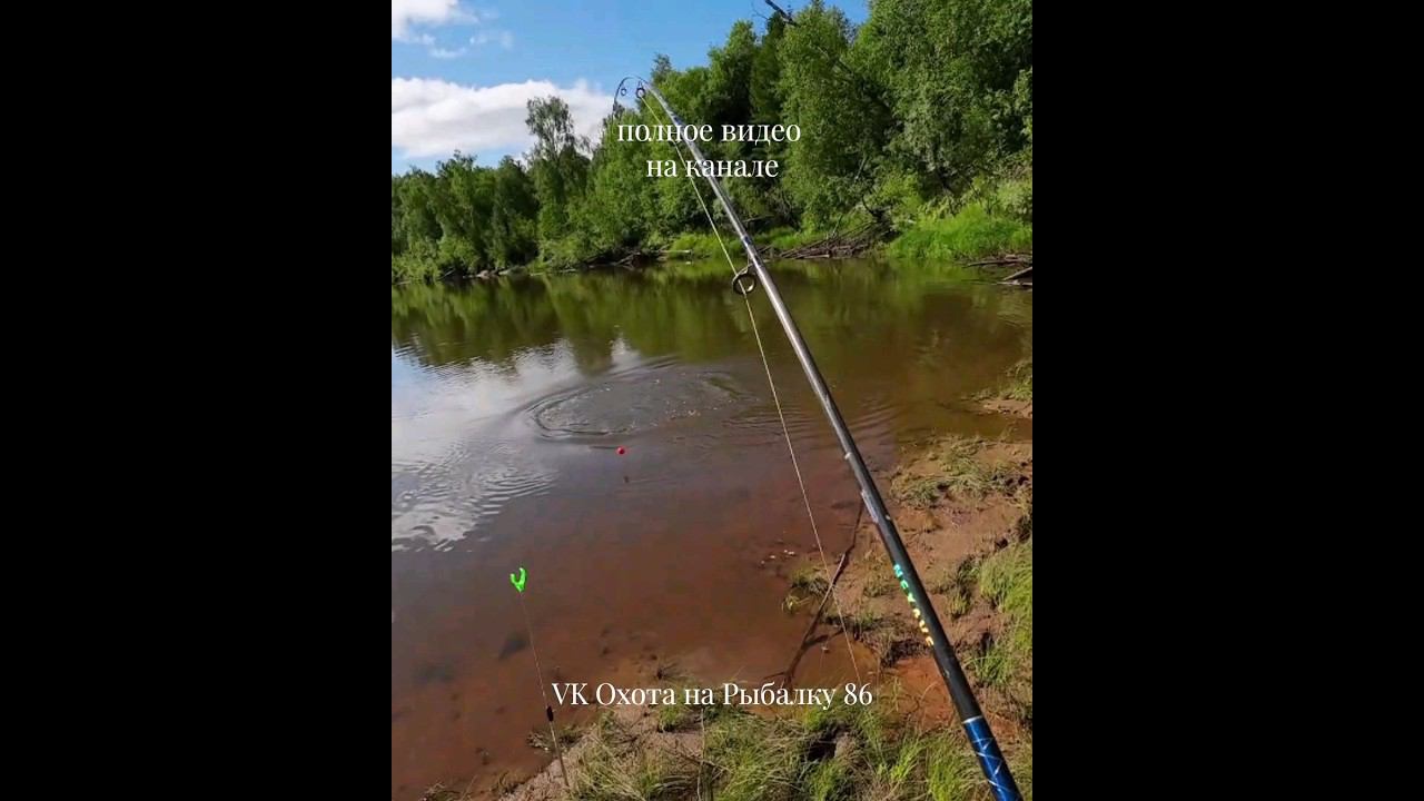 Щука - торпеда полное видео на канале #рыбалка #щука #спининг #fishing #pike #pikefishing #perch смотреть онлайн