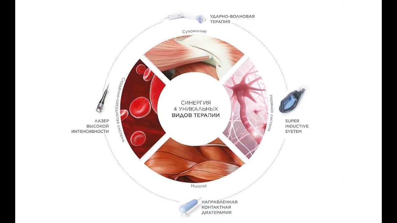 V Ежегодная конференция BTL по инновациям в физиотерапии. Промо. смотреть онлайн