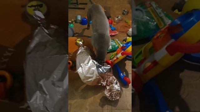 еда с сенсорной дорожки смотреть онлайн