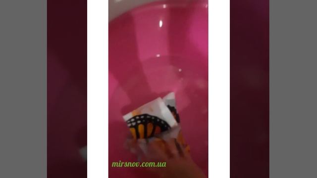 Эксперимент над тканью бязь голд от производителя Пакистан. Линяет или нет? смотреть онлайн