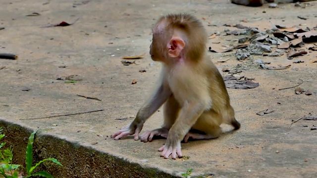 Where Is Mama Libby? Why She Leave Her Baby Alone Like This? смотреть онлайн