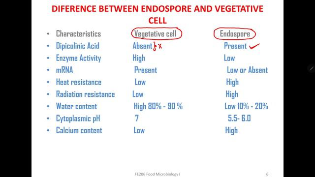 Bacterial Spore ll Endospore ll Endosore formation in bacteria I смотреть онлайн