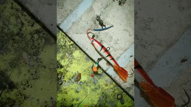 Рыбалка на балансиры #зима #рыбалка #зимняяловлярыбы #балансир #лайфхак#первыйлед #глухозимье #щука смотреть онлайн