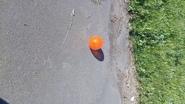 Пишите в комментарии "+",если хотите,чтобы это было полноценное видео ,о том как выгуливать хомяков смотреть онлайн