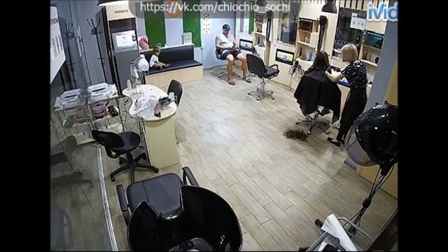 2019-07-09 18:31 Sochi Chio Chio Hair Salon