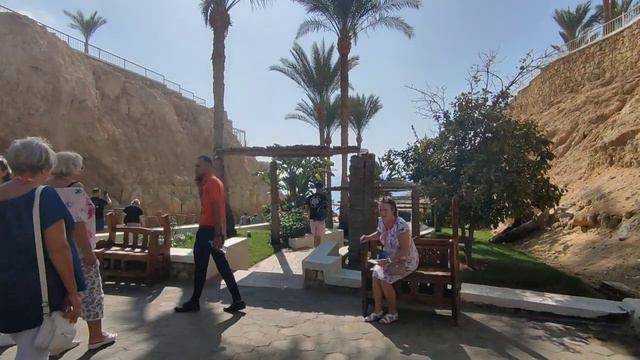 Reef Oasis Beach Resort 5* смотреть онлайн