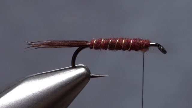 Isonychia Nymph смотреть онлайн