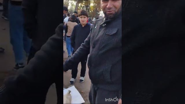 мург бозори Абдурахмони Чоми 15 10 2023 смотреть онлайн