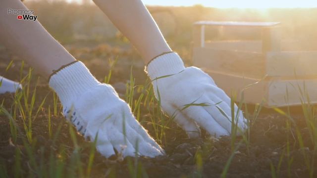 1 ТАБЛЕТКА В БОЧКУ ДЛЯ ПОЛИВА И ВСЁ РАСТЁТ КАК НА ДРОЖЖАХ. СТИМУЛЯТОР ПЛОДОНОШЕНИЯ ВСЕХ ОВОЩЕЙ