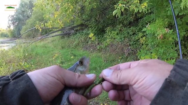 РЫБАЛКА НА СЛОМЕ ПОГОДЫ. ЩУКА и ОКУНЬ НА СПИННИНГ. Порадовала плетенка Piscifun. смотреть онлайн
