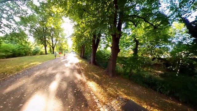 Walking track near University of Greifswald | Germany смотреть онлайн
