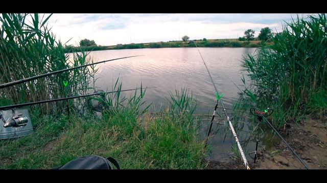 Рыбалка на зеркального карпа смотреть онлайн