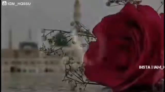 Yey hasne Niki nana смотреть онлайн