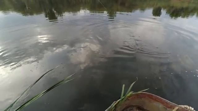 БОЛЬШАЯ ЩУКА НА СПИННИНГ смотреть онлайн