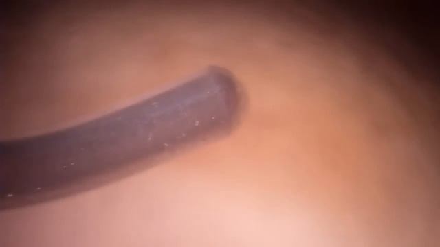 Микроскоп для пайки. Макро через МБС-1. смотреть онлайн