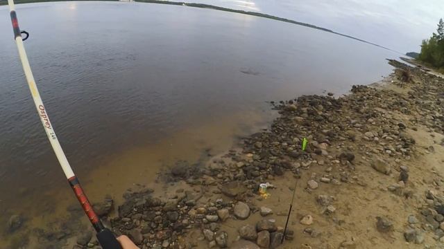 ЯЗЬ НА КУКУРУЗУ! ТАК МНОГО Я ЕЩЕ НЕ ЛОВИЛ! Рыбалка на донки! Рыбалка на реке Обь. Часть 2 смотреть онлайн