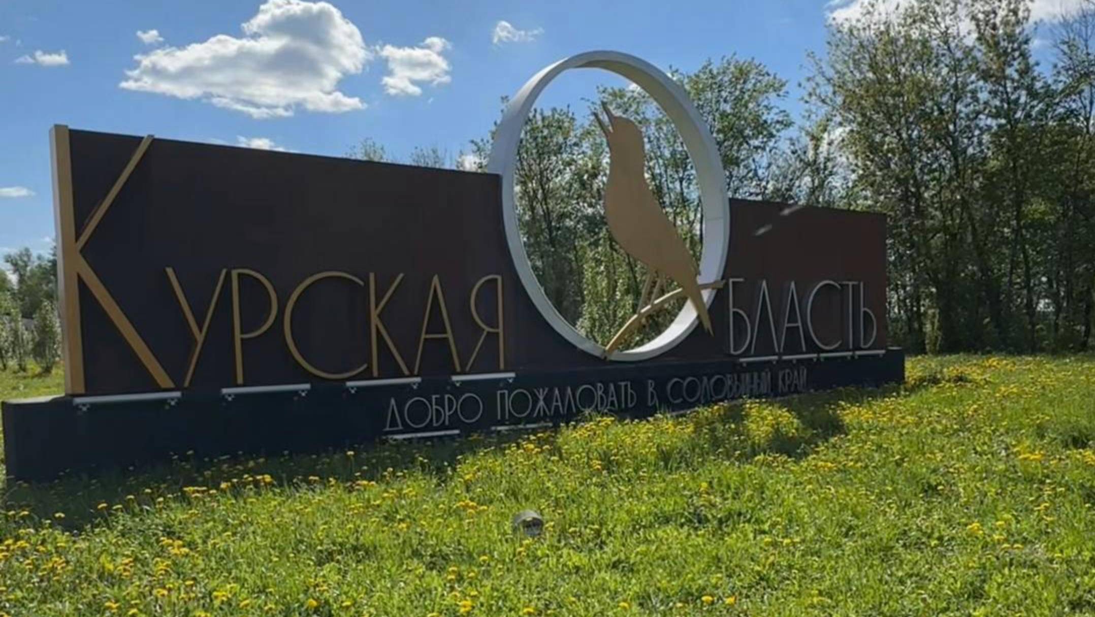 Курская область. Моя родина.