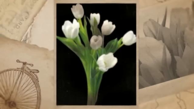 Поздравление с днем рождения 65 смотреть онлайн