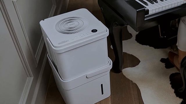 Humidifier vs Dehumidifier смотреть онлайн