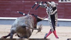 Коррида. Кровавая традиция родом из средневековья