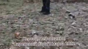 херсон, режут людей