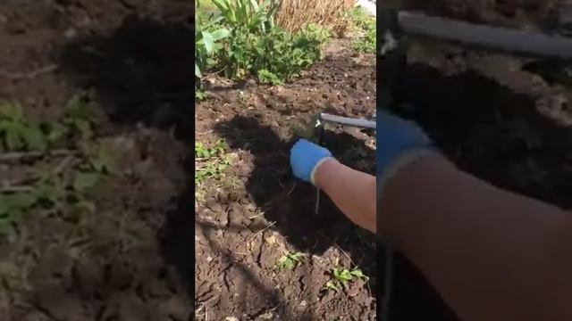 Тяпка из нержавейки косая большая 30 см ручка SKRAB 28071 смотреть онлайн