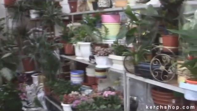 магазин "Цветы" смотреть онлайн